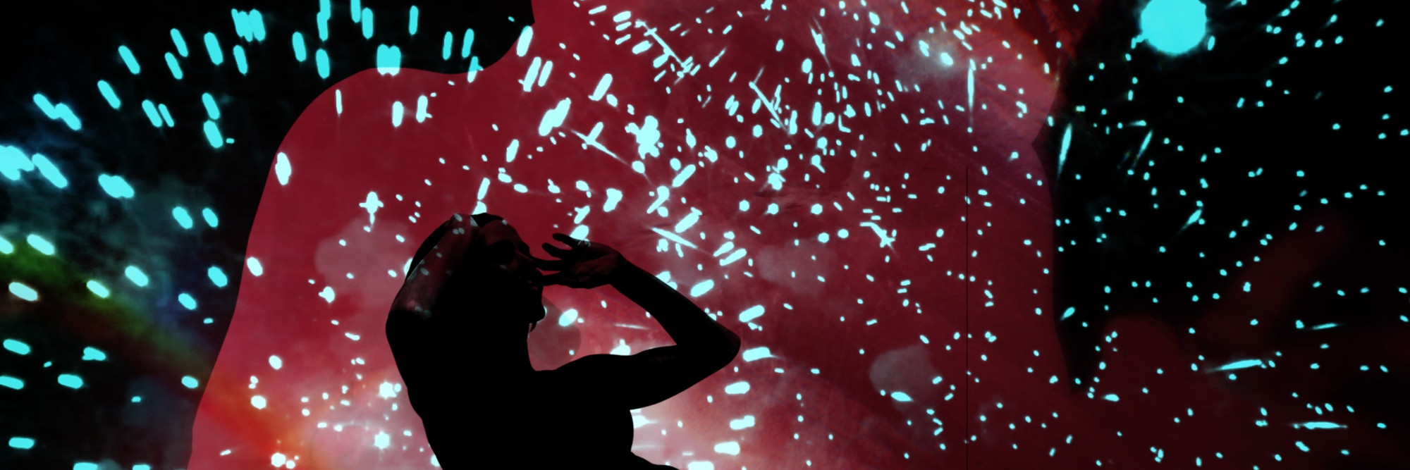 Nástio Mosquito. Respectable Thief. 2016. Installation view of Projects 104: Nástio Mosquito. © 2016 Nástio Mosquito