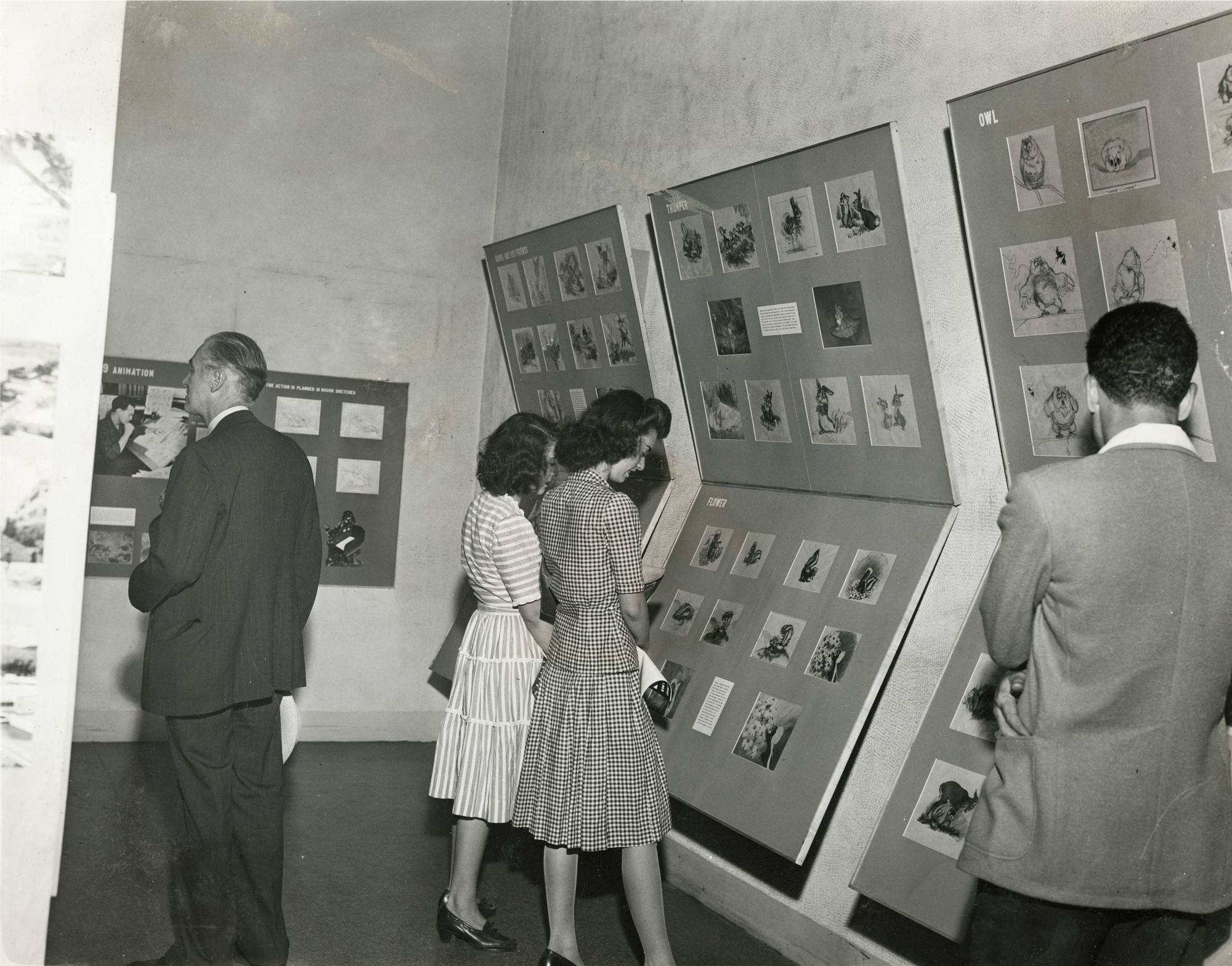 Installation view of Bambi: The Making of an Animated Sound Picture at The Museum of Modern Art, New York