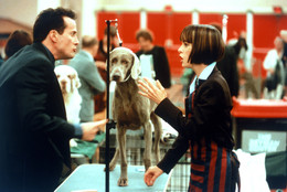 Best in Show. 2002. USA. Directed by Christopher Guest