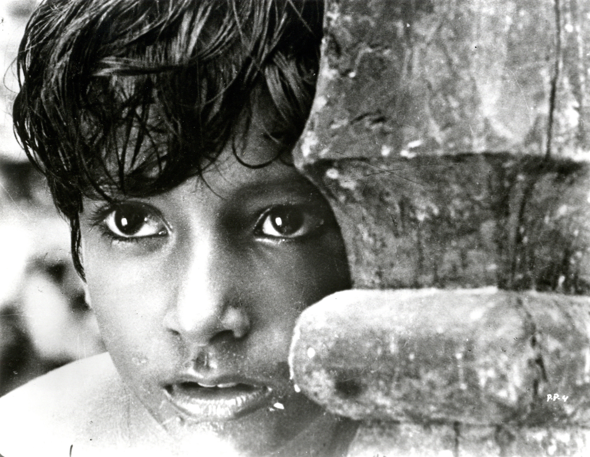 Resultado de imagem para pather panchali pics