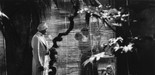East of Borneo. 1931. USA. Directed by George Melford