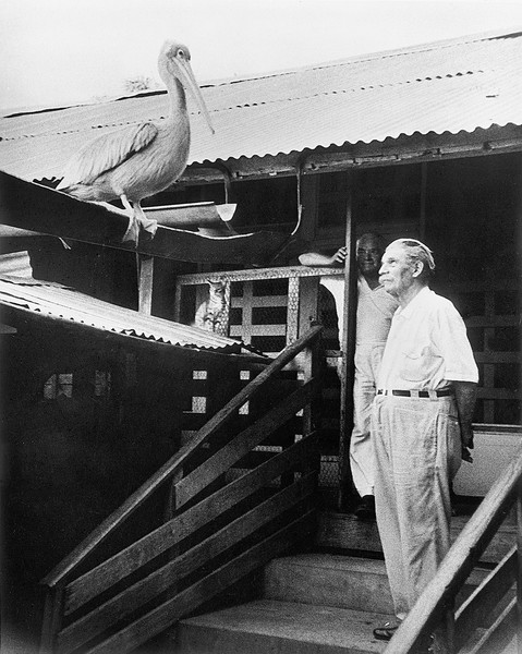Albert Schweitzer. 1957. USA. Produced and directed by Jerome Hill