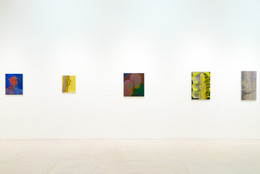 Installation view of Sascha Braunig: Shivers, MoMA PS1, October 23, 2016–March 12, 2017. Shown, from left: Sascha Braunig. Lashes. 2011. Oil on panel over canvas. Zabludowicz Collection; Gold Warp I. 2010. Oil on canvas. Private collection; Bridle. 2013. Oil on canvas over panel. Private collection; Shade. 2014. Oil on linen over panel. Collection of Scott J. Lorinsky; Feeder. 2014. Oil on canvas over panel. Private collection. Photo: Pablo Enriquez