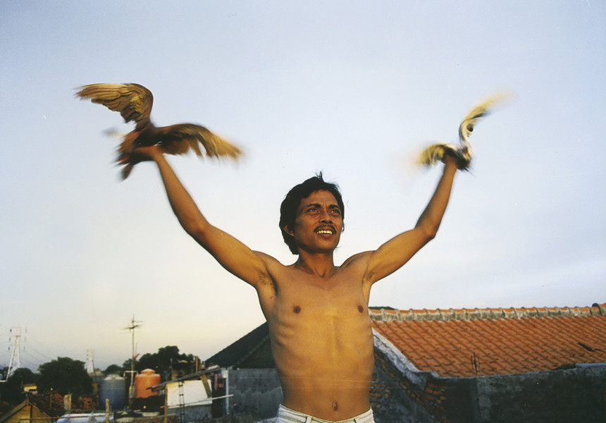 Position Among the Stars. 2010. The Netherlands. Directed by Leonard Retel Helmrich