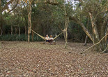 Paraguayan Hammock. 2006. Paraguay. Written and directed by Paz Encina. Courtesy of the artist