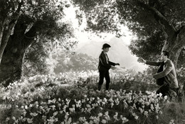 How Green Was My Valley. 1941. USA. Directed by John Ford