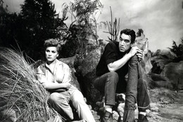 The River’s Edge. 1957. USA. Directed by Allan Dwan