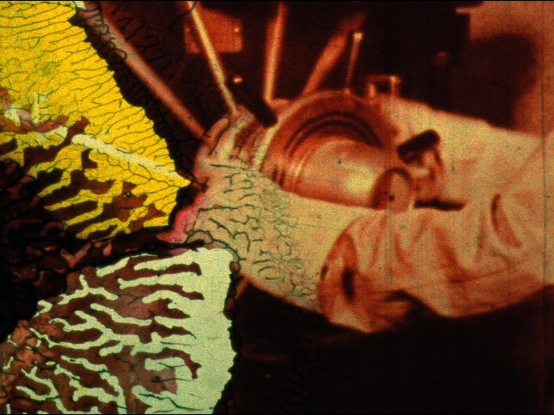 Spark of Being. 2010. USA. Directed by Bill Morrison. Courtesy of Bill Morrison