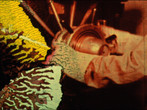 Spark of Being. 2010. USA. Directed by Bill Morrison. Courtesy of Bill Morrison