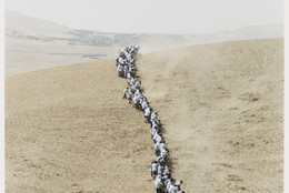 Francis Alÿs. Untitled, from When Faith Moves Mountains. 2002. Color photograph. The Museum of Modern Art, New York. Gift of The Speyer Family Foundation, Kathy and Richard S. Fuld, Jr., Marie-Josée and Henry R. Kravis, Patricia Phelps de Cisneros, Anna Marie and Robert F. Shapiro, The Julia Stoschek Foundation, Düsseldorf, and Committee on Media Funds. © 2011 Francis Alÿs