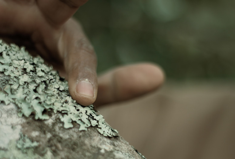 The Letters (Las Letras). 2015. Mexico. Directed by Pablo Chavarría Gutiérrez. Courtesy of Agencia Bengala