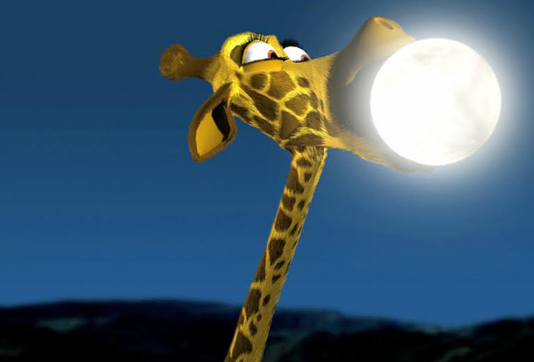 Jungle Beat: Moondance. 2004. Zimbabwe. Directed by Brent Dawes. Courtesy Sunrise Productions