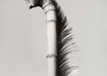 Joan Fontcuberta (Spanish, born 1955). Mullerpolis Plunfis. 1984. Gelatin silver print, 10 7/16 x 8 9/16″ (26.5 x 21.7 cm). The Museum of Modern Art, New York. Robert and Joyce Menschel Fund. © 2016 Joan Fontcuberta