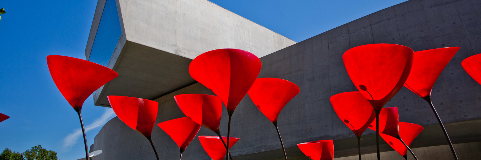 stARTT. WHATAMI. 2011. Young Architects Program 2011, MAXXI, Rome, winner