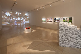 Installation view of GCC: Achievements in Retrospective at MoMA PS1, 2014. Photo: Matthew Septimus. © 2014 MoMA PS1