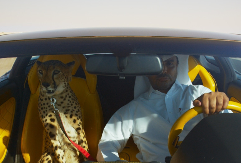The Challenge. 2016. Italy/France/Switzerland. Directed by Yuri Ancarani. Courtesy of Slingshot Films