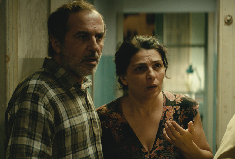 Chemi bednieri ojakhi (My Happy Family). 2017. Directed by Nana Ekvtimishvili & Simon Gross. Courtesy of Memento Films International