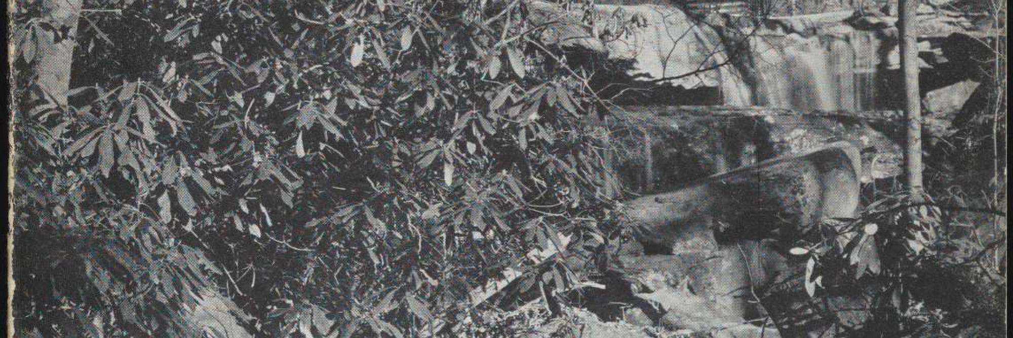 Cover of A new house by Frank Lloyd Wright on Bear Run, Pennsylvania (New York: The Museum of Modern Art, 1938)