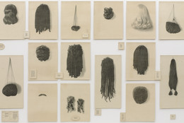 Lorna Simpson. Wigs (Portfolio). 1994. Portfolio of 21 lithographs on felt, with 17 lithographed felt text panels, overall: 6′ × 13′ 6″ (182.9 × 411.5 cm). Purchased with funds given by Agnes Gund, Howard B. Johnson, and Emily Fisher Landau. © 2017 Lorna Simpson. Photo: John Wronn