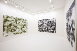 Installation view of Jeff Elrod: Nobody Sees Like Us at MoMA PS1, January 20–April 1, 2013. Photo: Matthew Septimus