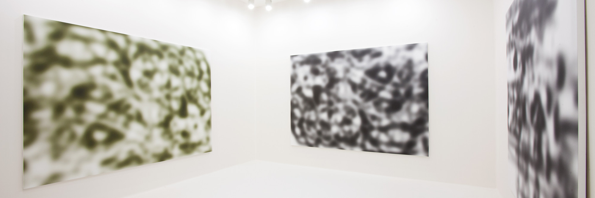 Installation view of Jeff Elrod: Nobody Sees Like Us at MoMA PS1, January 20–April 1, 2013. Photo: Matthew Septimus