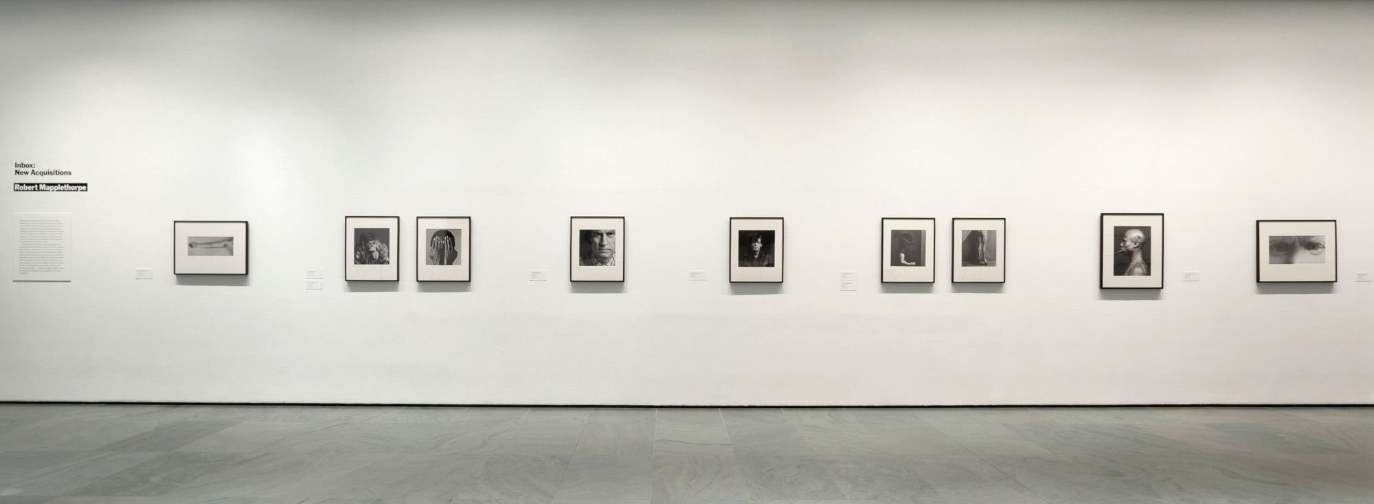 Inbox: Robert Mapplethorpe | MoMA