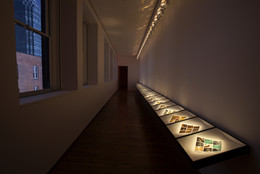 Installation view of Cyprien Gaillard: The Crystal World at MoMA PS1, January 20–March 18, 2013. Photo: Matthew Septimus