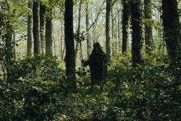 Michelangelo Frammartino. Alberi (detail). 2013. Film still. Courtesy the Artist