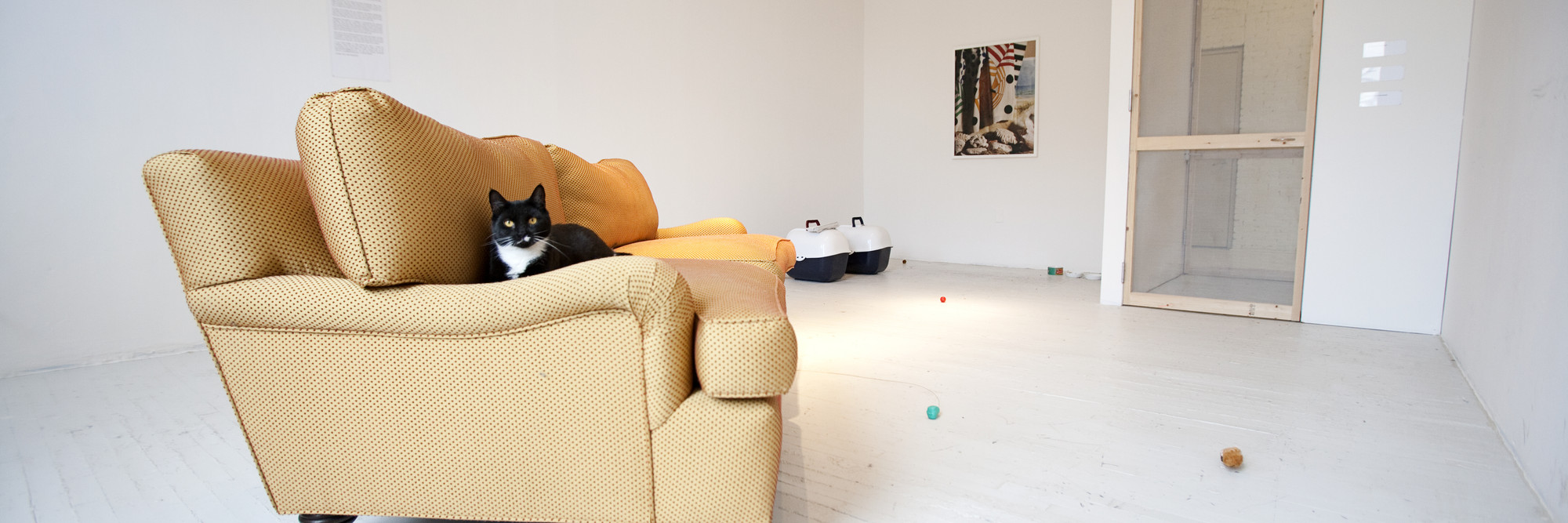 Installation view of Darren Bader: Images at MoMA PS1, January 29–May 14, 2012. Photo: Matthew Septimus