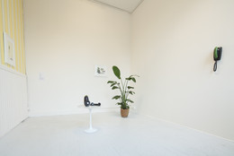 Installation view of New Pictures of Common Objects at MoMA PS1, October 21, 2012–April 14, 2013. Photo: Matthew Septimus