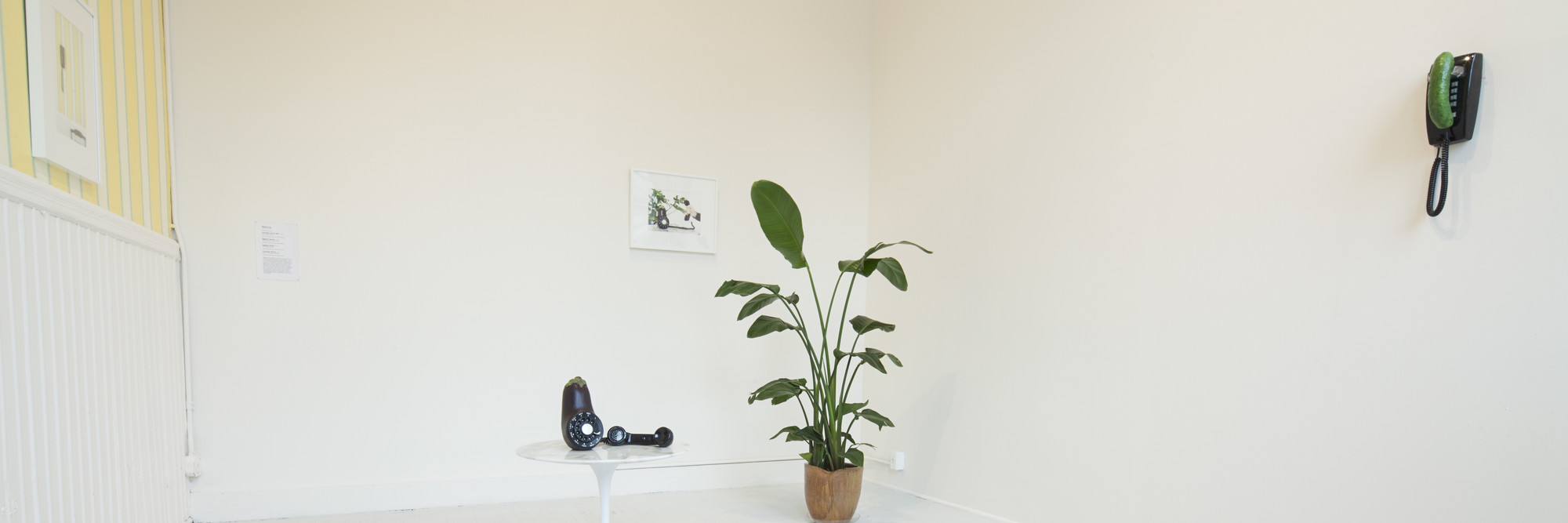 Installation view of New Pictures of Common Objects at MoMA PS1, October 21, 2012–April 14, 2013. Photo: Matthew Septimus