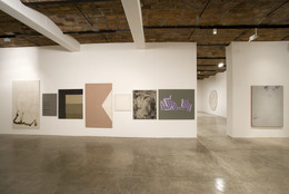 Installation view of Sergej Jensen at MoMA PS1, January 23–May 2, 2011. Photo: Matthew Septimus