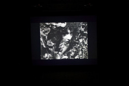 Installation view of Maya Deren – At Land at MoMA PS1, January 23–May 2, 2011. Photo: Matthew Septimus