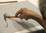 Photo: Manuel Molina Martagon