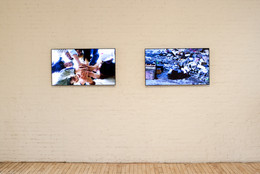 Installation view of Chim↑Pom at MoMA PS1, November 20, 2011–April 23, 2012. Photo: Matthew Septimus