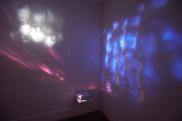 Installation view of Extended Installations from Greater New York at MoMA PS1, November 8–November 29, 2010. Photo: Matthew Septimus