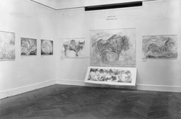Installation view of Prehistoric Rock Pictures in Europe and Africa at The Museum of Modern Art, New York. Photo: Soichi Sunami