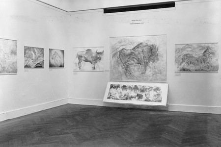 Installation view of Prehistoric Rock Pictures in Europe and Africa at The Museum of Modern Art, New York. Photo: Soichi Sunami