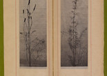 Dried grasses and seedpods. n.d. Photogravures on Japanese paper, page 7 1⁄2&#34; x 2 3⁄4&#34; (19.1 x 7 cm). Inset in William C. Gannett. The House Beautiful (River Forest, Ill.: Auvergne Press, 1896–98). Avery Architectural &amp; Fine Arts Library, Columbia University, New York