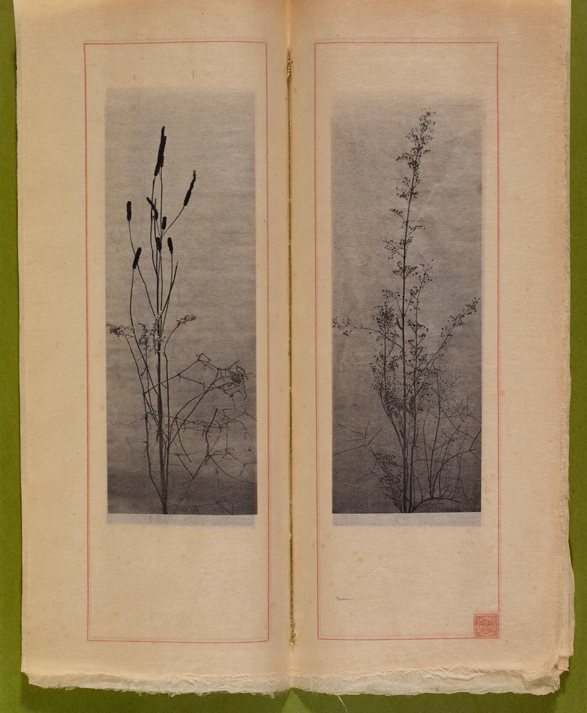 Frank Lloyd Wright And The Natural World Moma N D Photogravures On Anese Paper Page 7 1 2