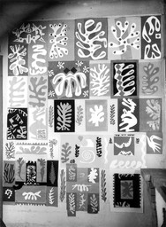 Vence Wall
