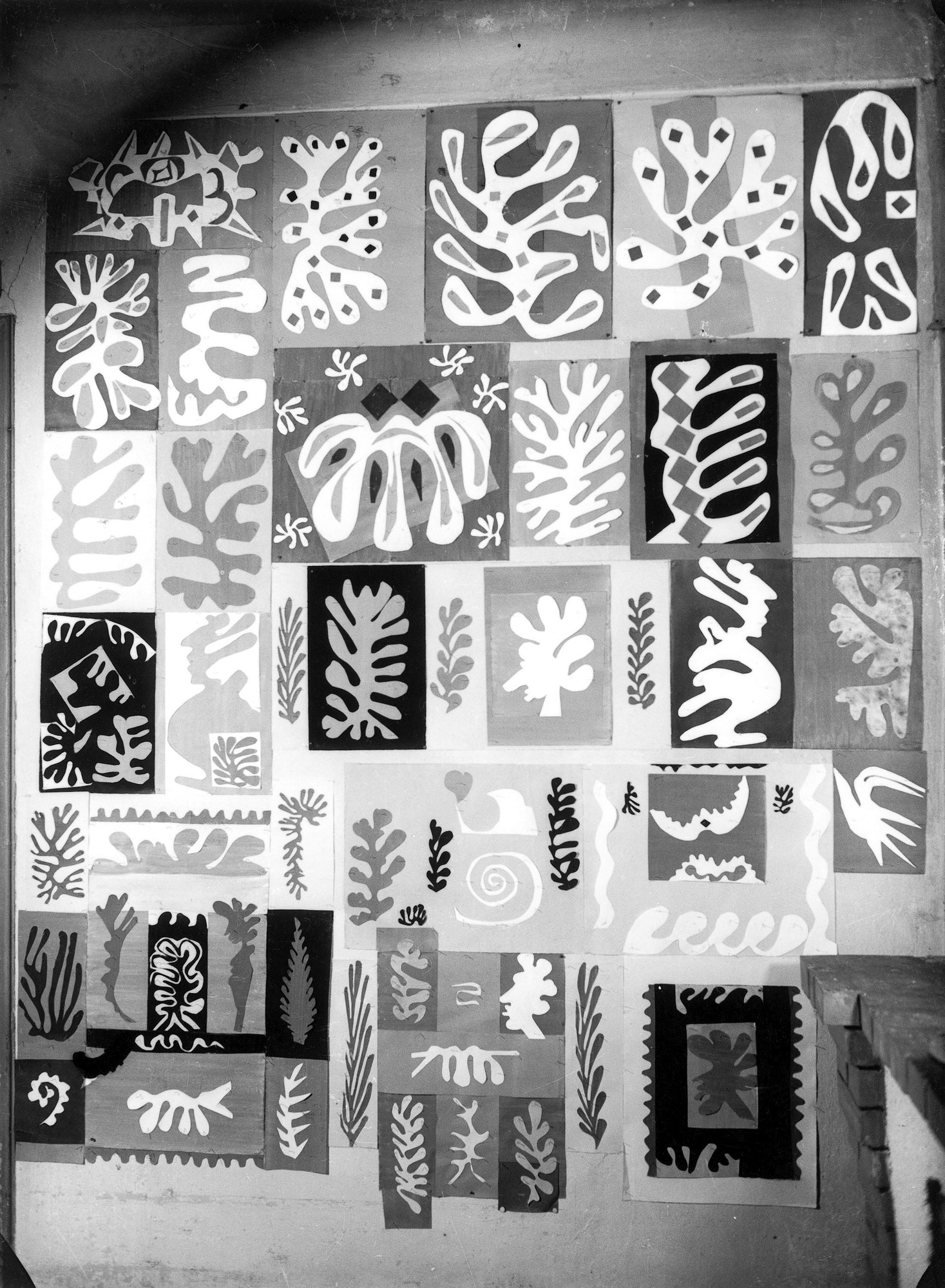 Vence Wall