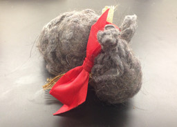 The Dust Bunny