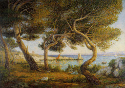 Les Pins, effet de soleil à Saint Honorat (Cannes) (Pine Trees, Effect of Sunlight at Saint Honorat [Cannes])