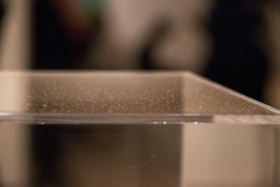 A Case for Dust