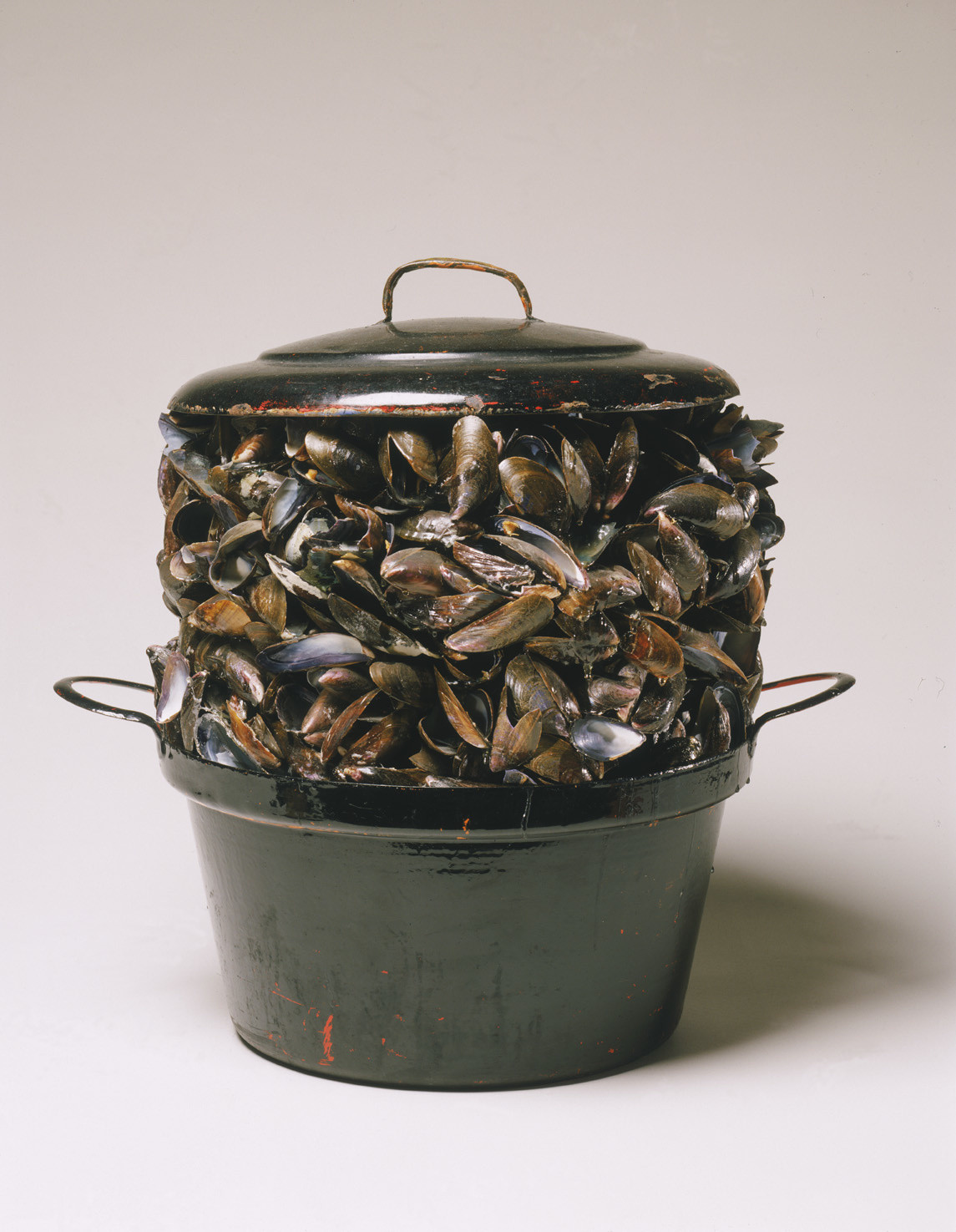 *Triomphe de moule I (Triumph of mussel I)*