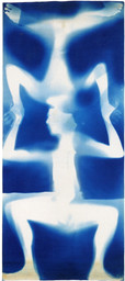 Untitled (Double Rauschenberg)