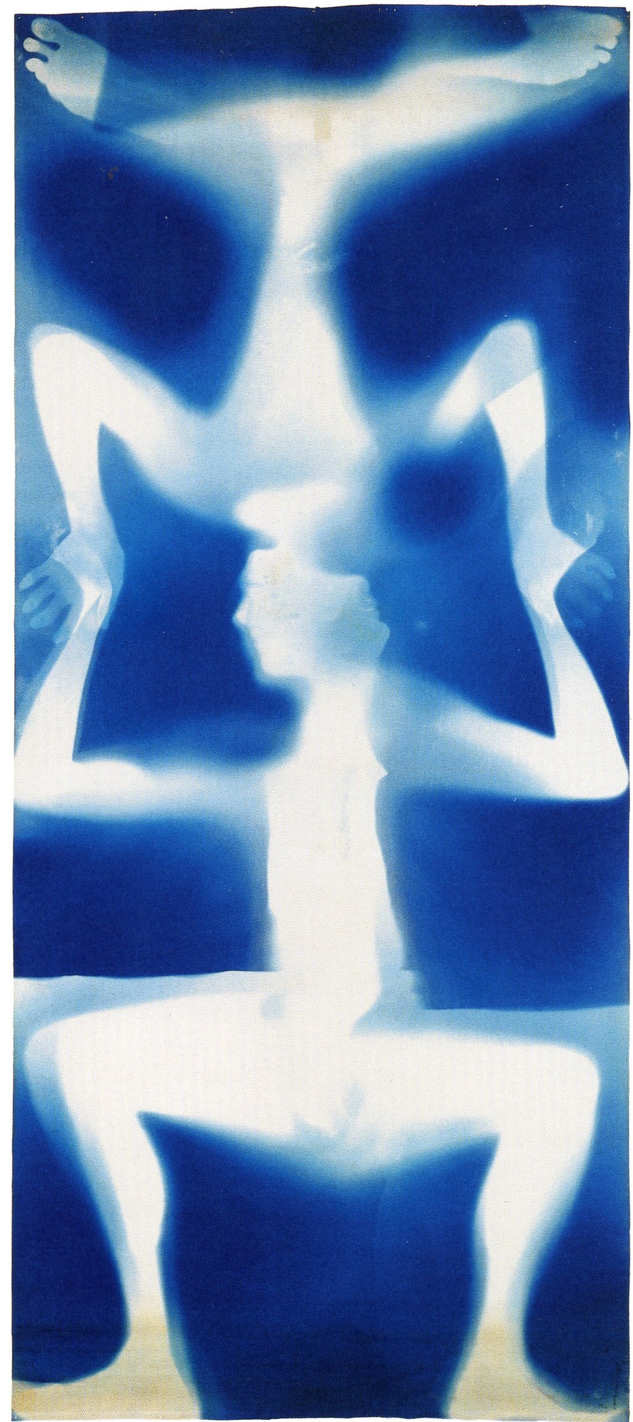 *Untitled (Double Rauschenberg)*