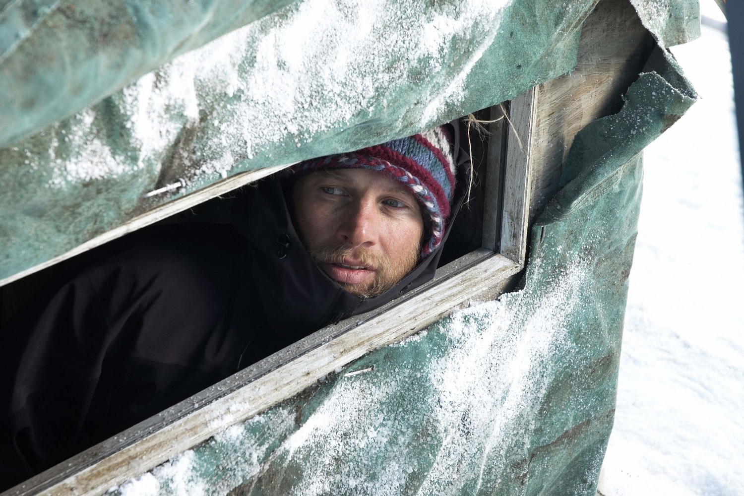 The Last Winter. 2006. USA. Directed by Larry Fessenden. Courtesy of Photofest