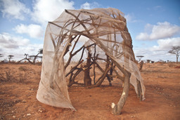 Dadaab Refugee Camp